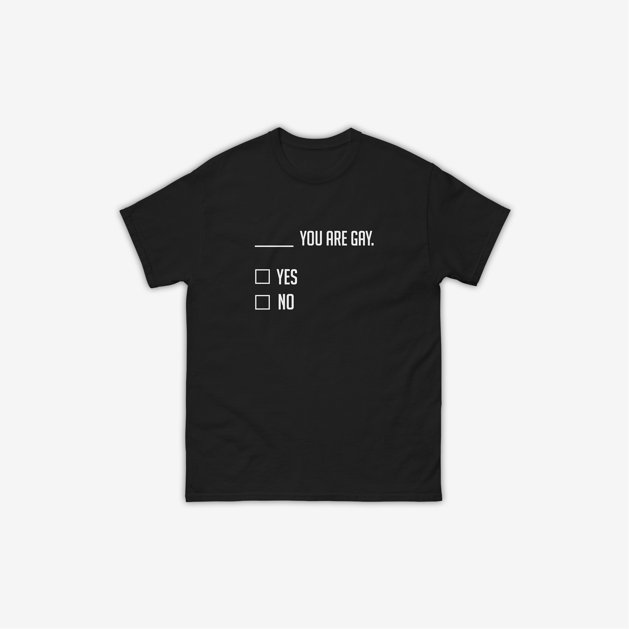 ___ You Are Gay T-Shirt