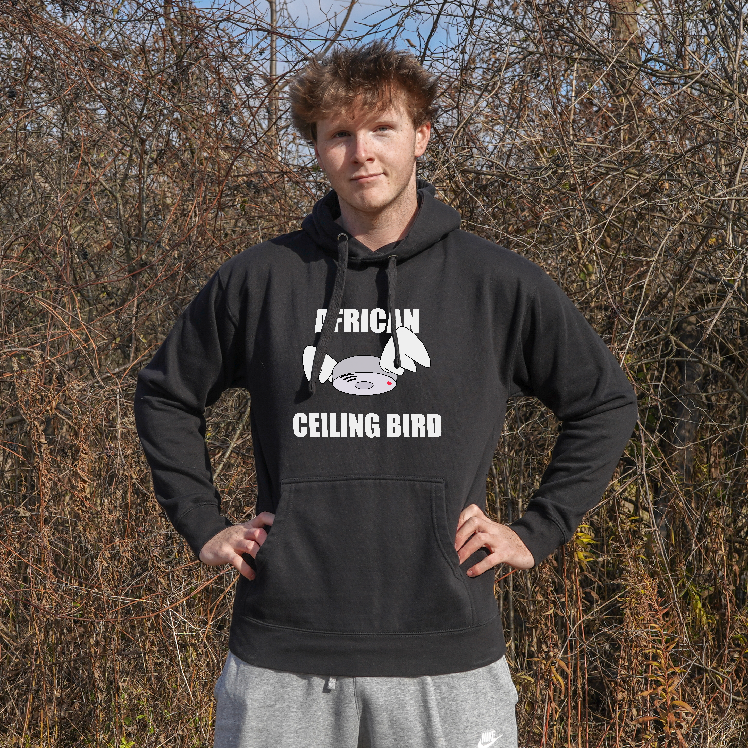 African Ceiling Bird Hoodie