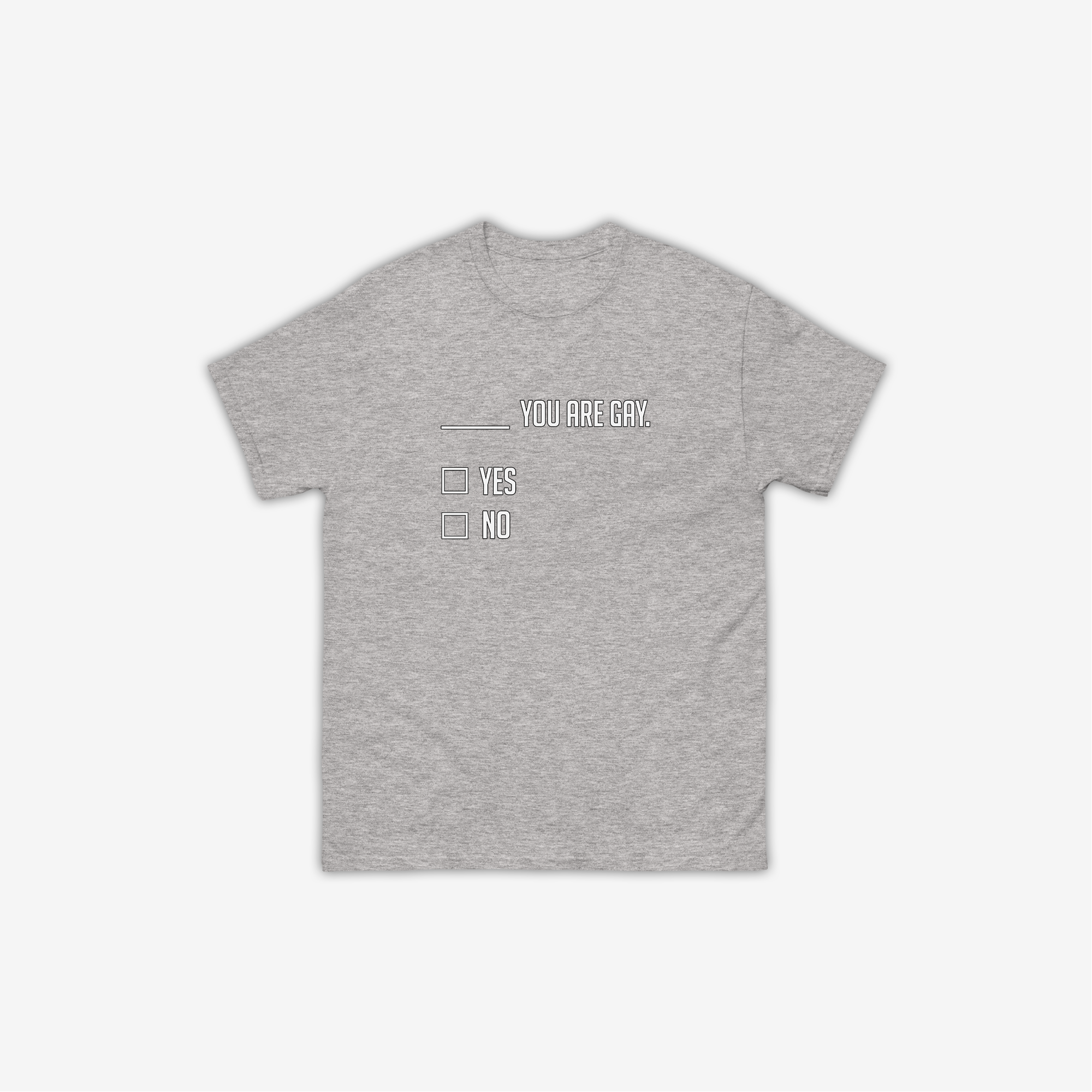 ___ You Are Gay T-Shirt