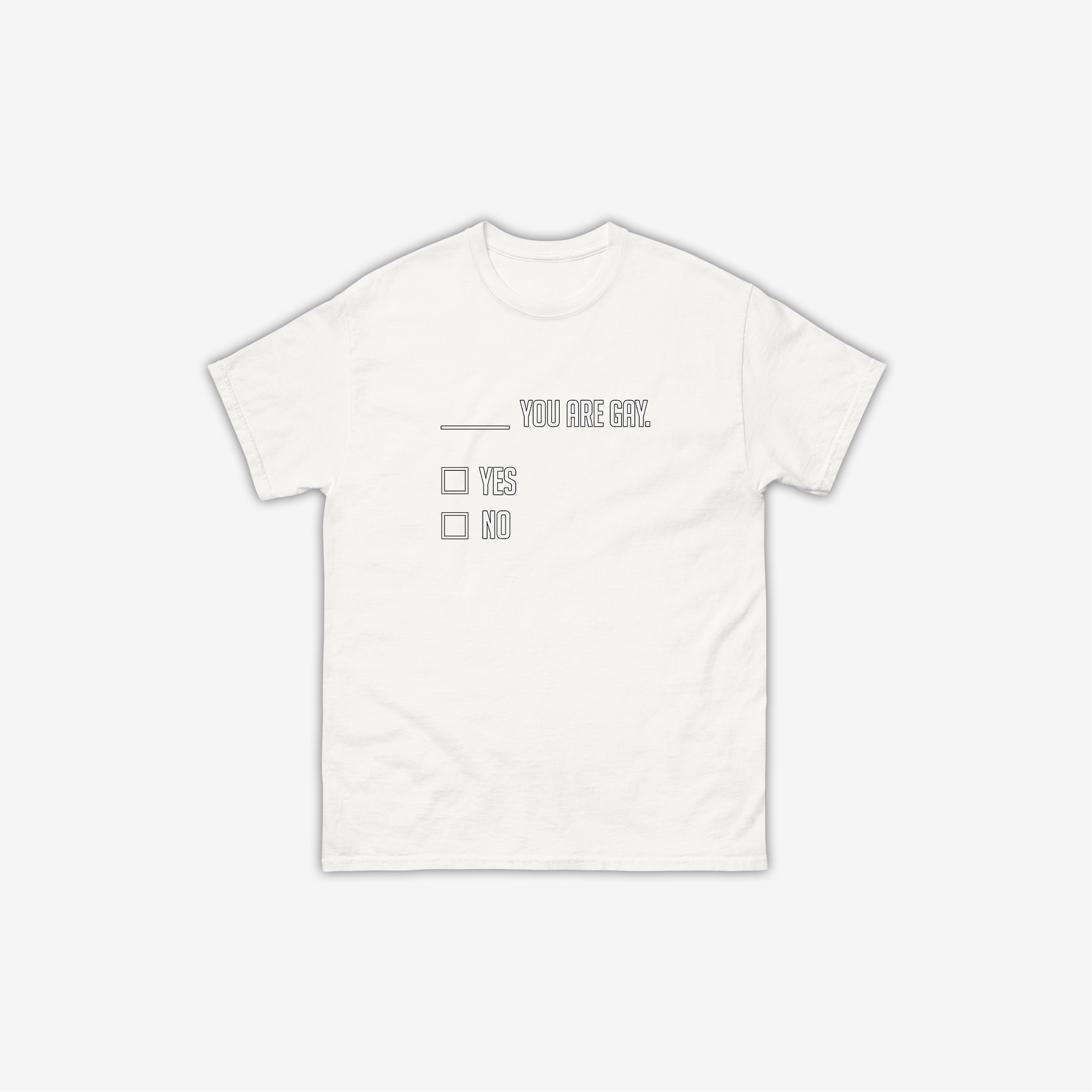 ___ You Are Gay T-Shirt
